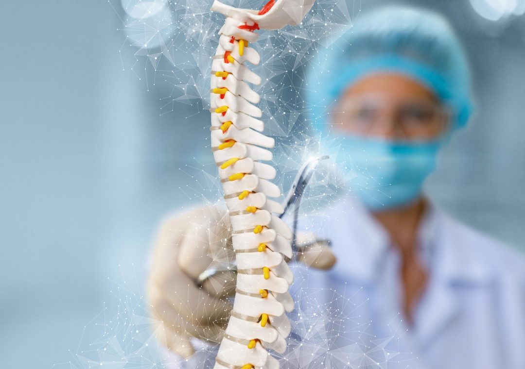 Spine surgical treatment concept. A doctor with a tool is showing the spine.